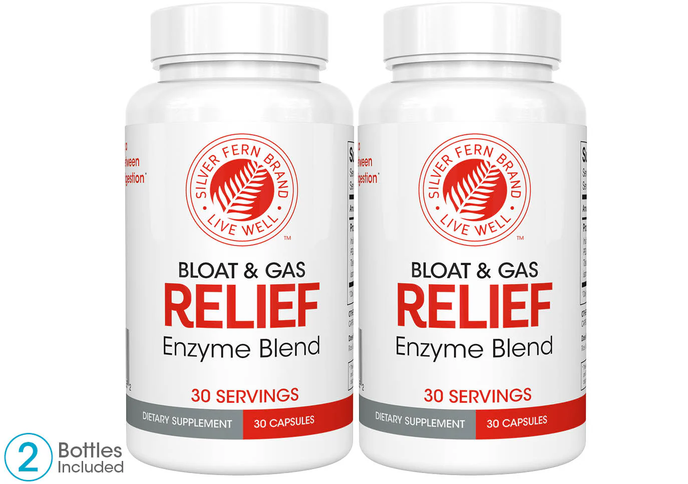 Bloat & Gas Relief - The FODMAP Solution! - Image 8