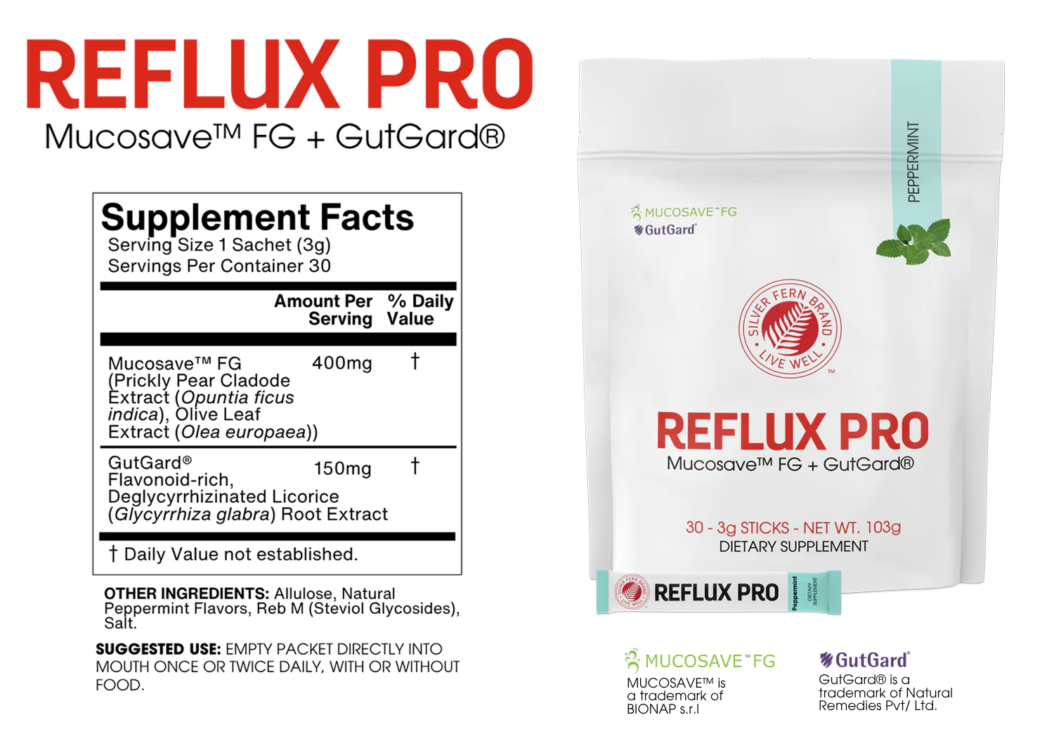 Gastric Rehab Kit - Image 4