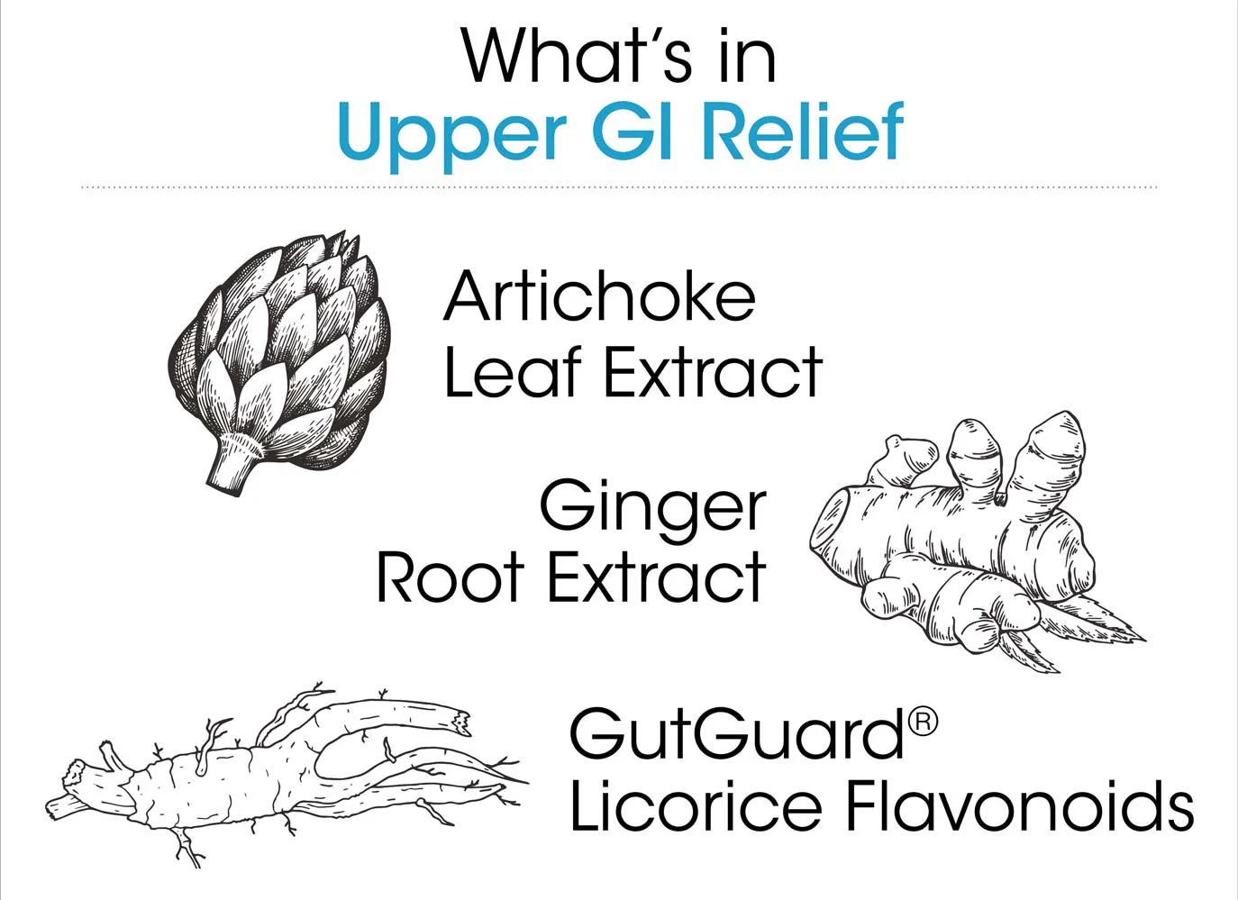 Upper GI Relief - Acid Reflux, Indigestion, Gas and Bloating - Image 4