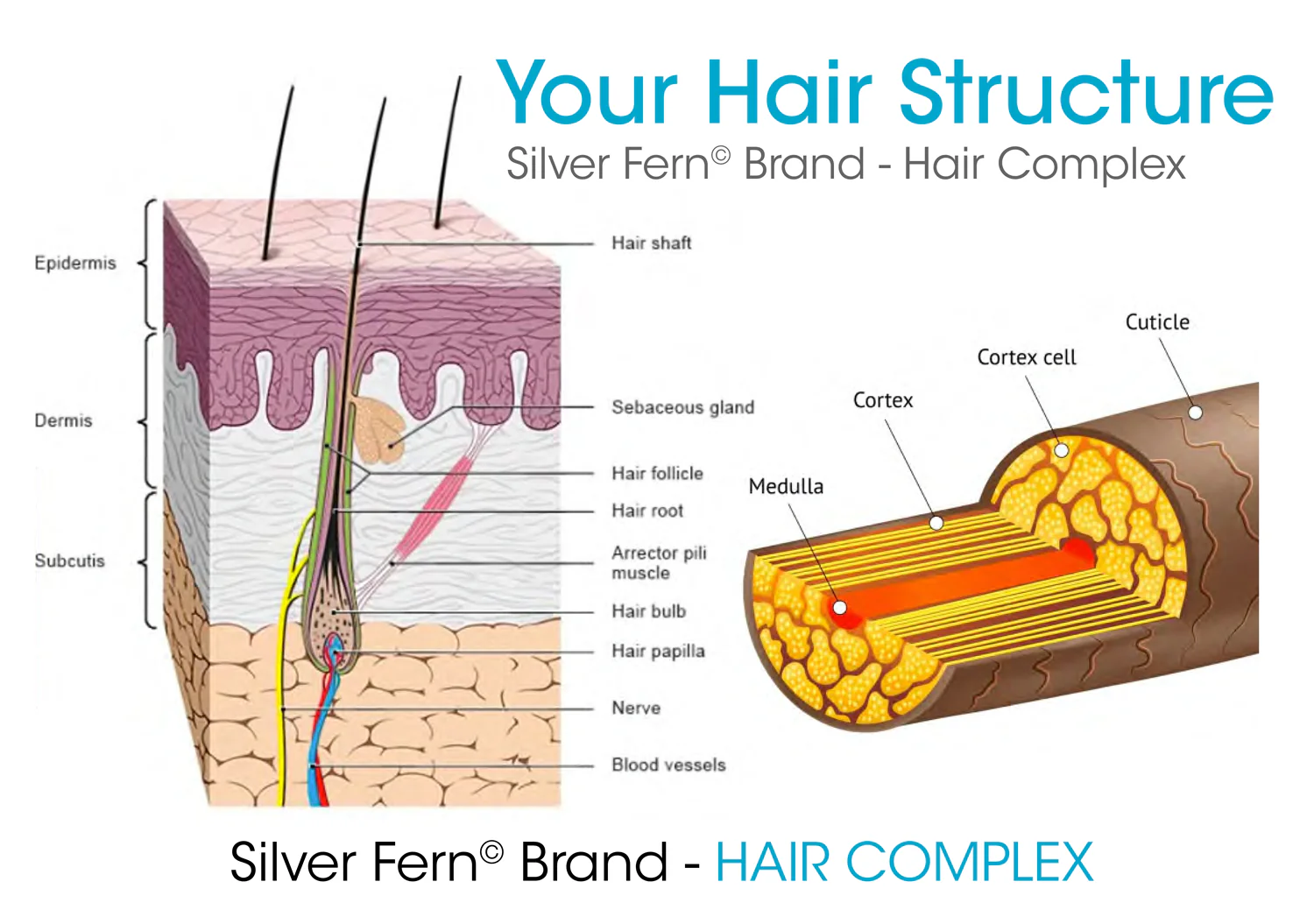 Hair Complex - Keratin, Sea Buckthorn, and Silica - Image 6