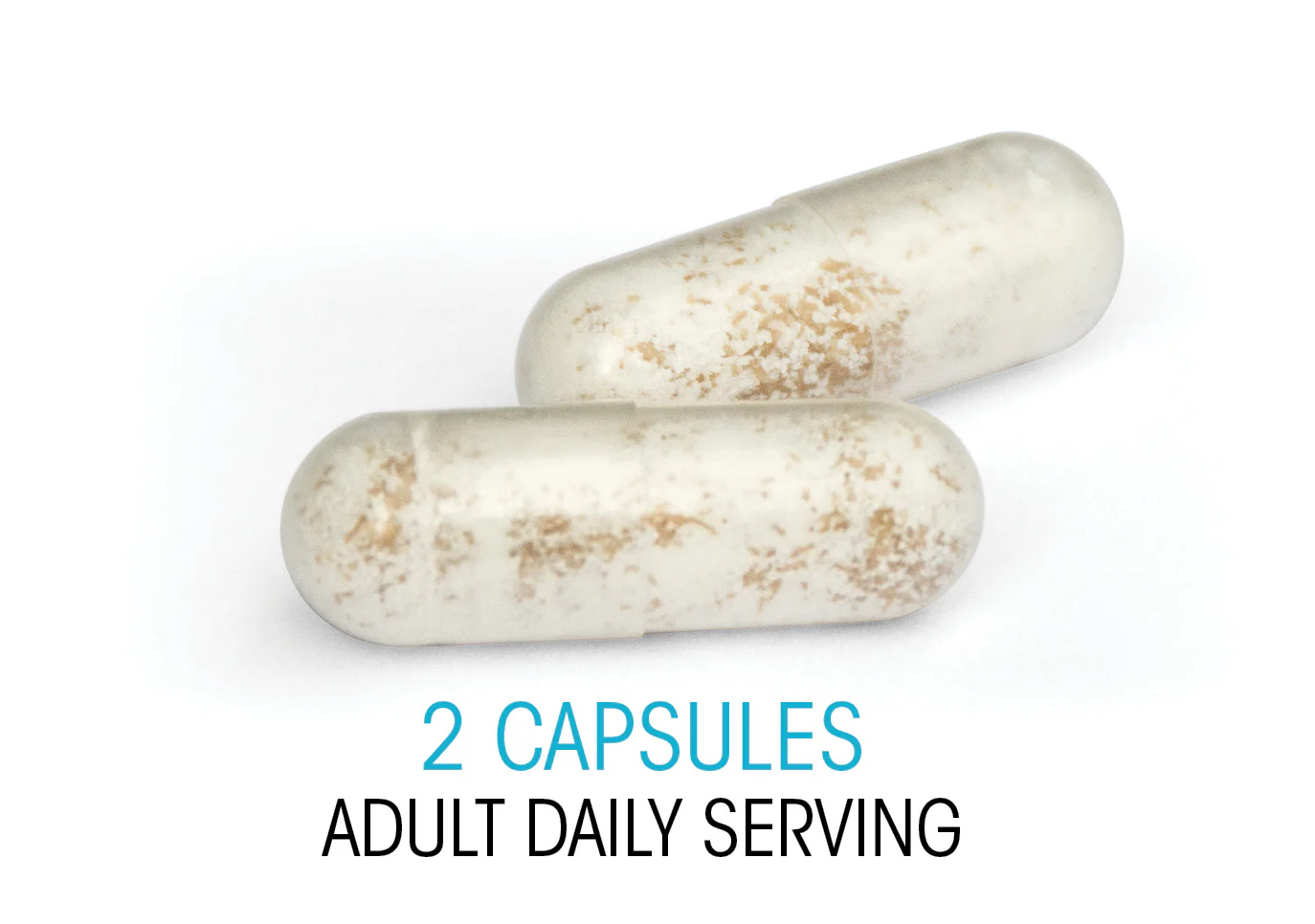 Ultimate Probiotic Supplement - 60 Capsules per Bottle - Image 4