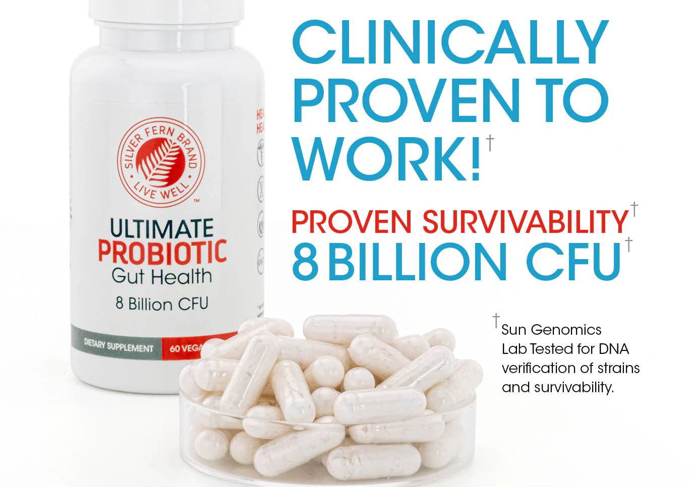 Ultimate Probiotic Supplement - 60 Capsules per Bottle - Image 6